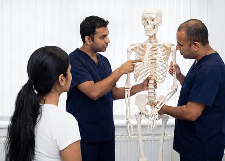 Physiotherapist demonstrating human anatomy model to a patient