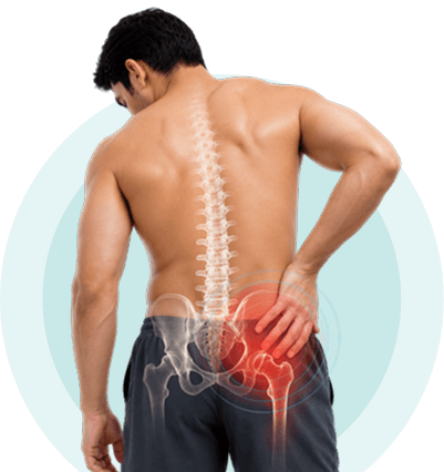 Illustration of the hip joint highlighting areas treated with ultrasound therapy