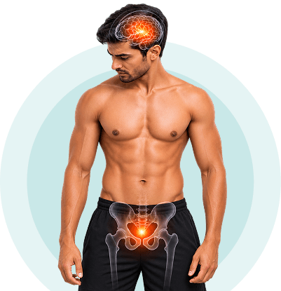 Illustration of nerve pathways and pelvic-floor muscles treated with FMS therapy