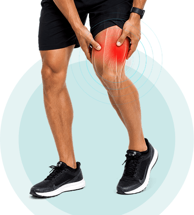 Illustration of muscle and tendon tissue highlighting sports injuries treated with ultrasound therapy