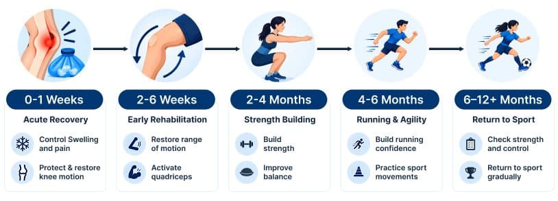 ACL recovery timeline infographic: 0 to 2 weeks acute recovery, 2 to 6 weeks early rehabilitation, 2 to 4 months strength building, 4 to 6 months running and agility, and 6 to 12 plus months return to sport