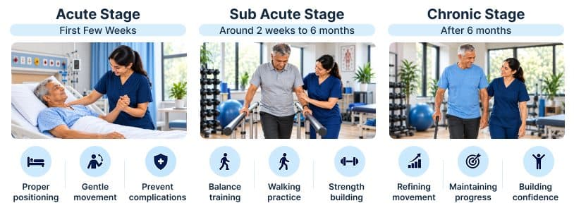 Stroke recovery stages infographic: acute stage in the first few weeks with positioning, gentle movement and preventing complications; sub acute stage from 2 weeks to 6 months with balance training, walking practice and strength building; chronic stage after 6 months with refining movement, maintaining progress and building confidence