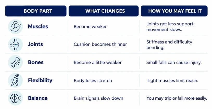 Infographic of what changes after 40: muscles become weaker, joint cushion becomes thinner, bones become a little weaker, the body loses stretch, and brain signals for balance slow down