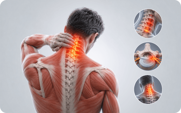 Close-up of a physiotherapist assessing a patient's neck with the cervical spine highlighted