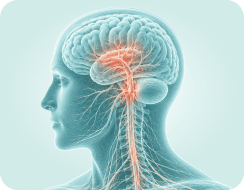 Stroke / Paralysis